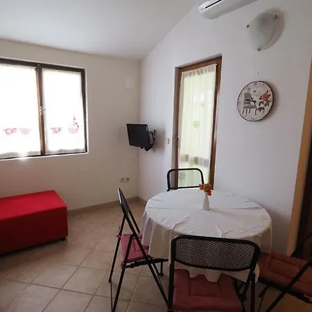 Viski Cvit Apartment *